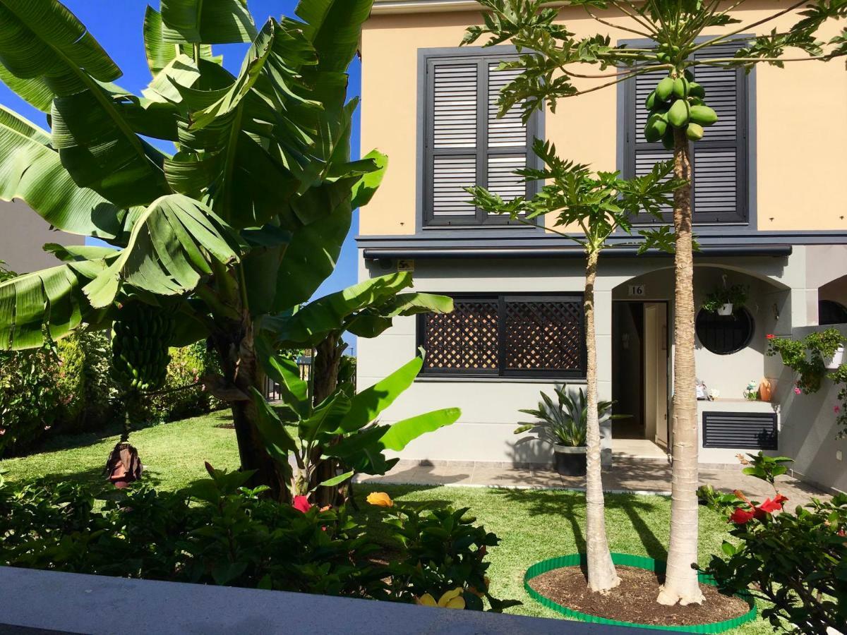 La Quinta Garden Villa Santa Úrsula Esterno foto