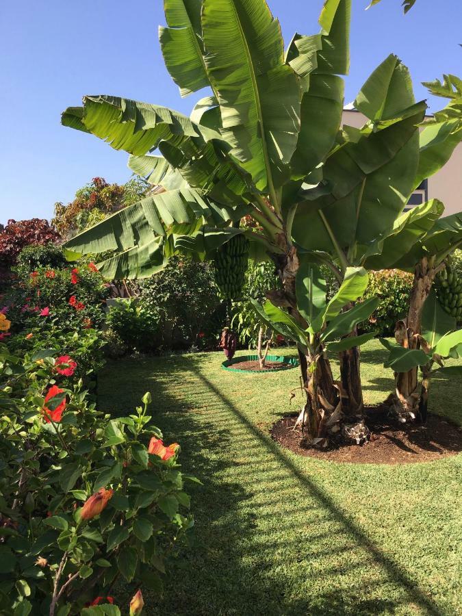 La Quinta Garden Villa Santa Úrsula Esterno foto
